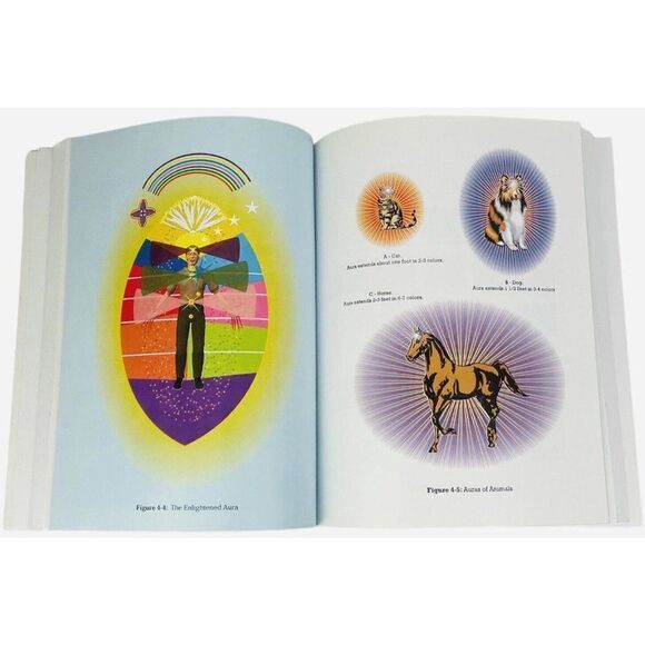 RARE SIGNED Vintage 2000 The Kingdom of Light Barbara Y Martin PB Illustrated - Picture 3 of 15